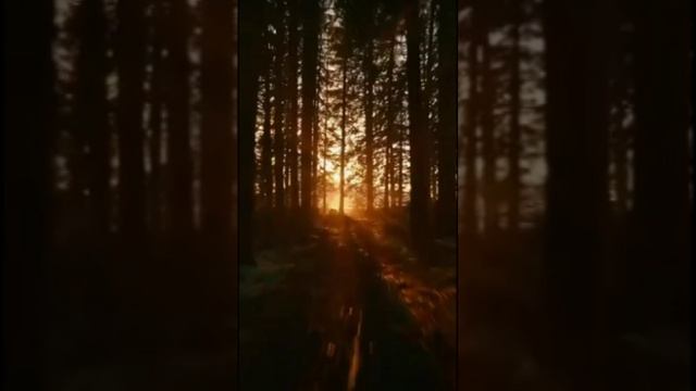 К свету. Дмитрий Шлапак