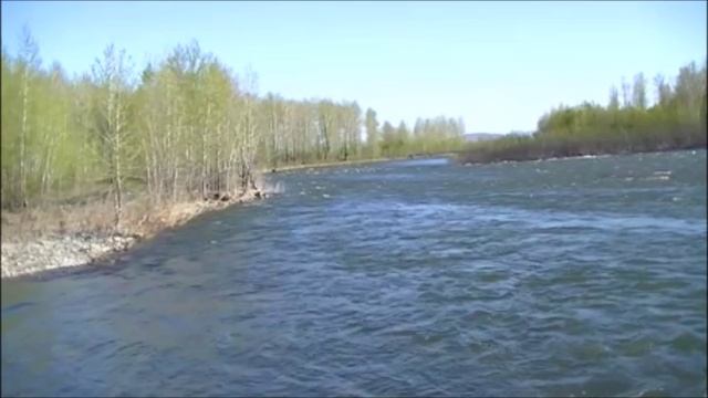 Савин Виталий-Нет тебя прекрасней на этом свете..wma