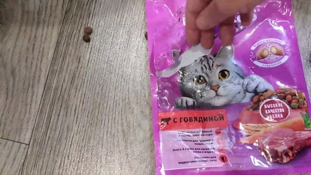 Тайна кошачьего поведения /The cat's secret