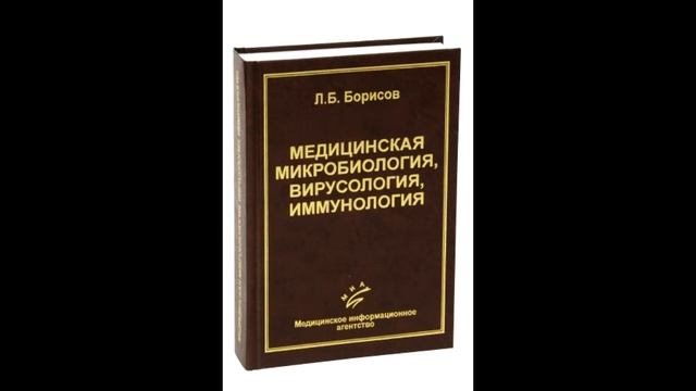 Введение в микробиологию. Часть 1. Анатомия и морфология бактерий