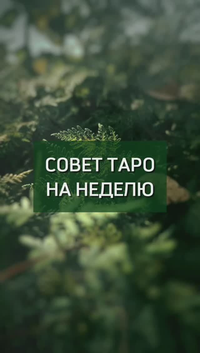 Совет на неделю