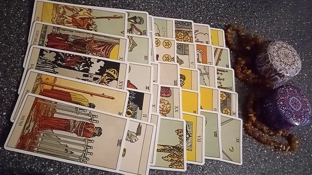 VID_20241117_154800.mp4