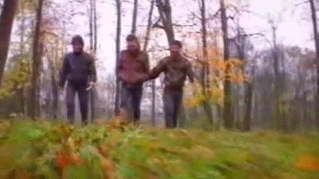 ДДТ Осень