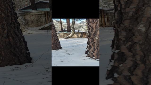 1000022200.mp4