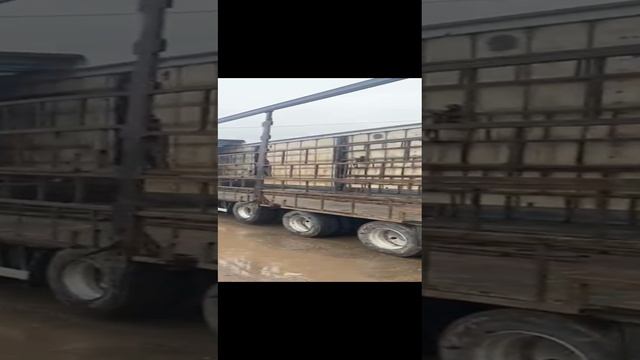Погрузка КАМАЗ 43118