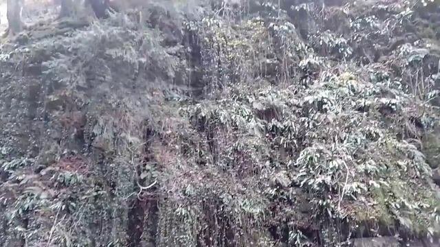 ОГРОМНАЯ СТАРИННАЯ МОГИЛИЩА