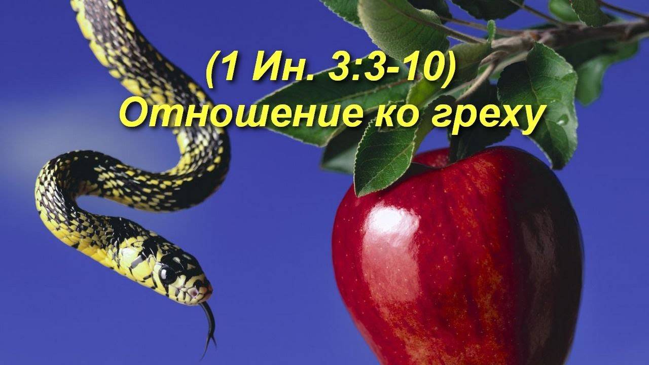 (1Ин  3:3-10) Отношение ко греху