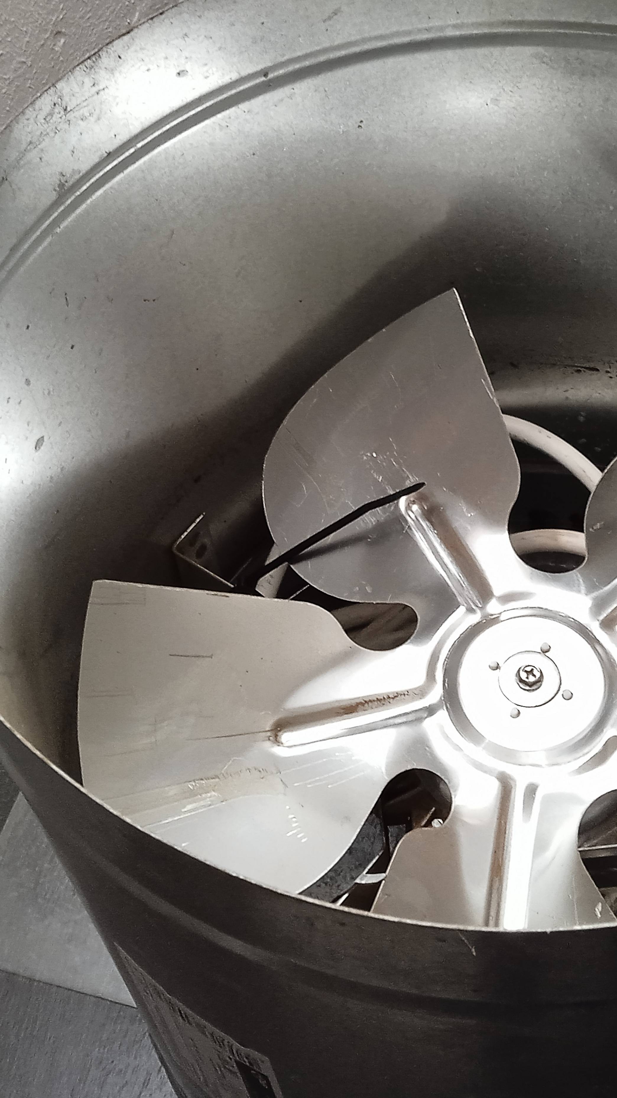 Оригинал MP4