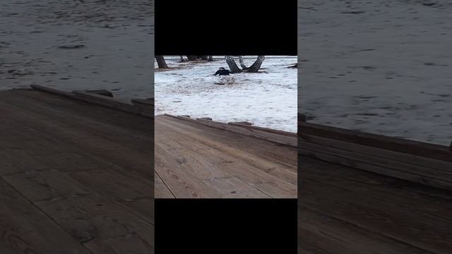 Бесконечная телепортация