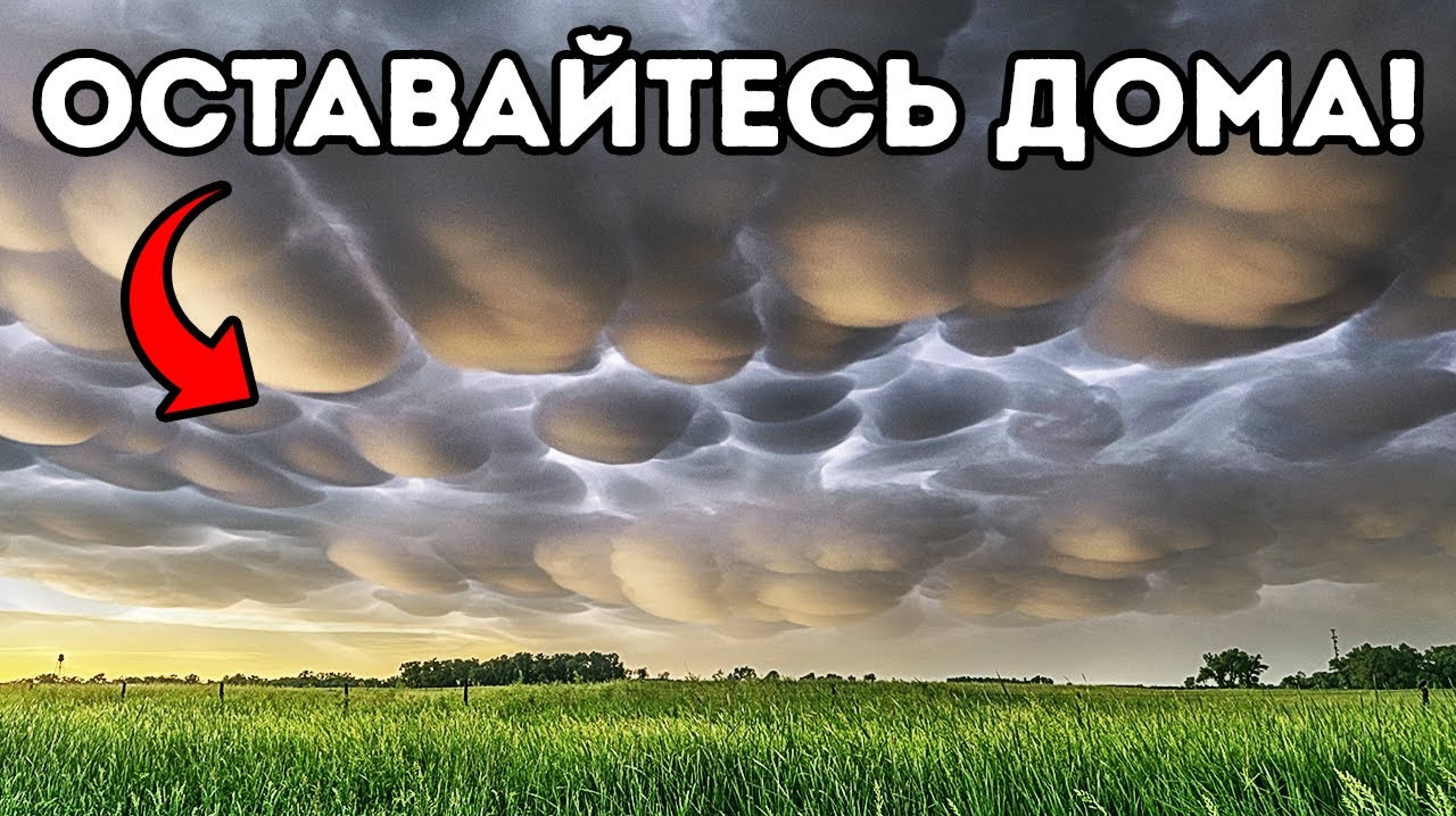 100 советов для ситуаций, требующих быстрого мышления. Как развить скорость реакции