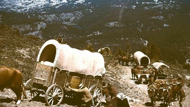 Солнце на полях шляпы