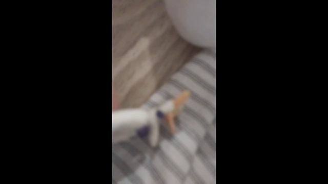 смешные новости