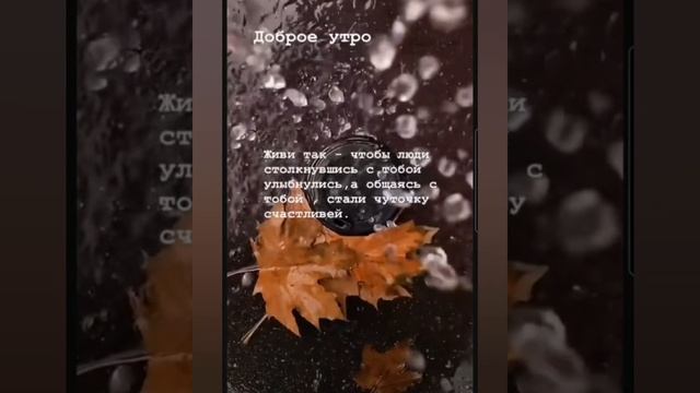 Доброе утро #доброеутро #благодарность
