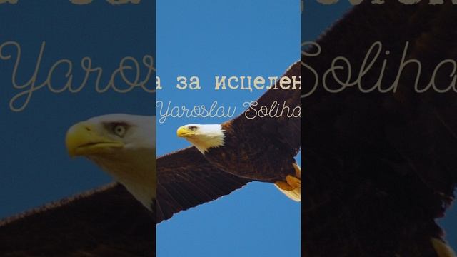 #бог #церковь #исцеление #тело #раны #иисус #христианство #молитва #praise #вера #надежда #любовь