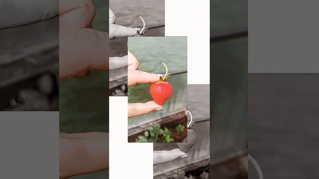 Любишь её🍓🍓🍓