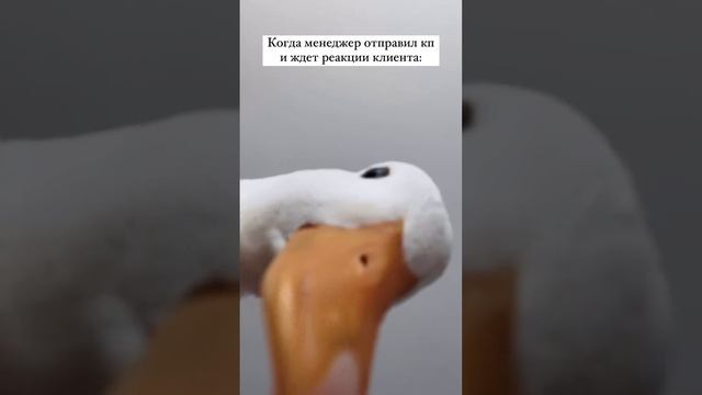 Это мы ждем созвонов с новыми клиентами ❤️  #ЛидерЧай