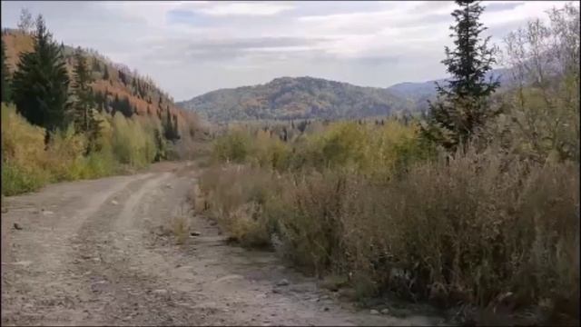 Савин Виталий-Дорога в дом родной..wma
