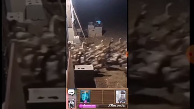 ТИПИЧНЫЙ КЛЕШ РОЯЛЬ СО СВОЕЙ
"АРМИЕЙ СКЕЛЕТИКОВ"