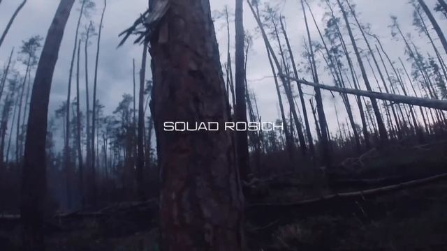Волчица