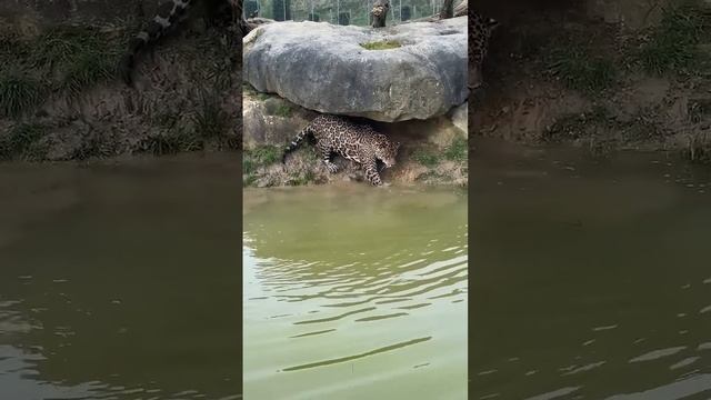 Подпишись на Нас для тебя это пустяк, а нам будет очень приятно