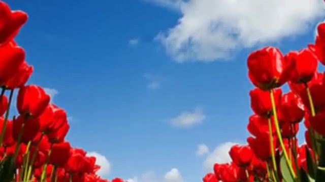 ТАНЕЦ ДЛЯ ДВОИХ