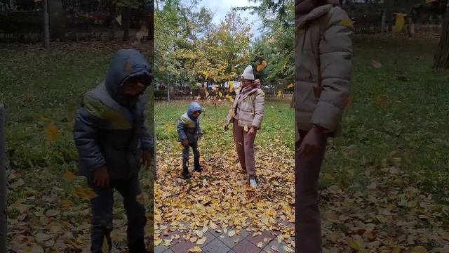 Осенний листопад