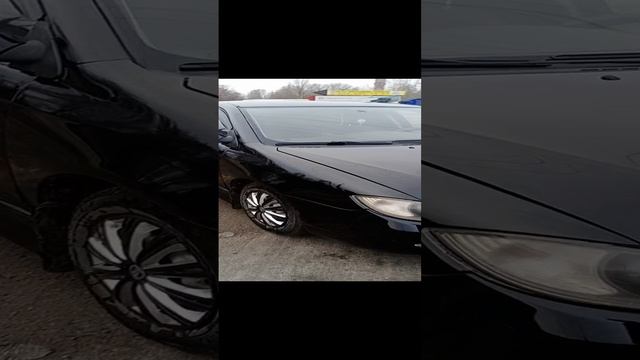 video_20241118_092920.mp4