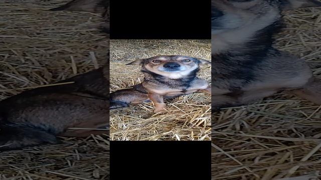 1000103340.mp4