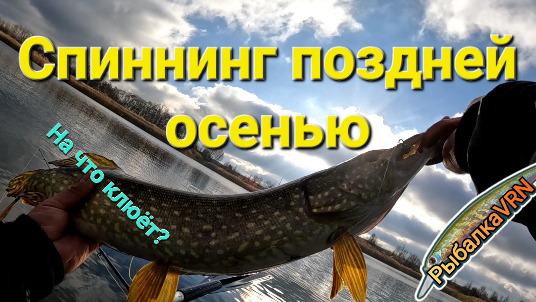 Рыбалка на спиннинг в ноябре 3