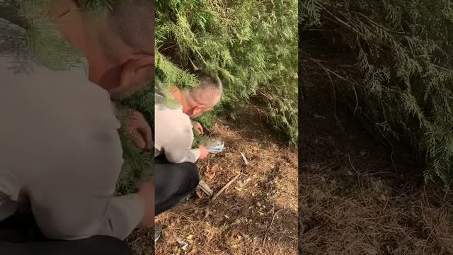 Не осознанный сон