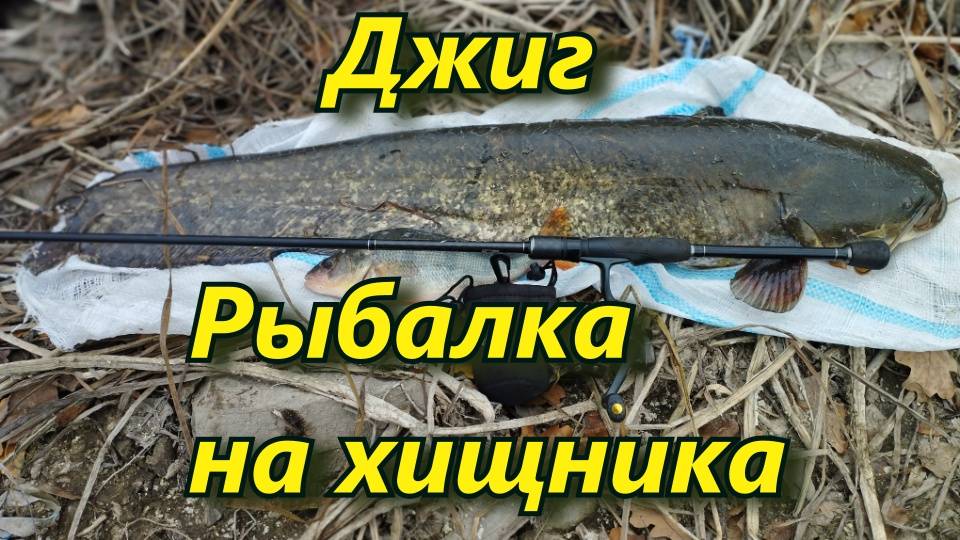 СОМ НА ДЖИГ . РЫБАЛКА С БЕРЕГА НА СПИННИНГ в ноябре. рыбалка в ноябре на окуня. Северский донец