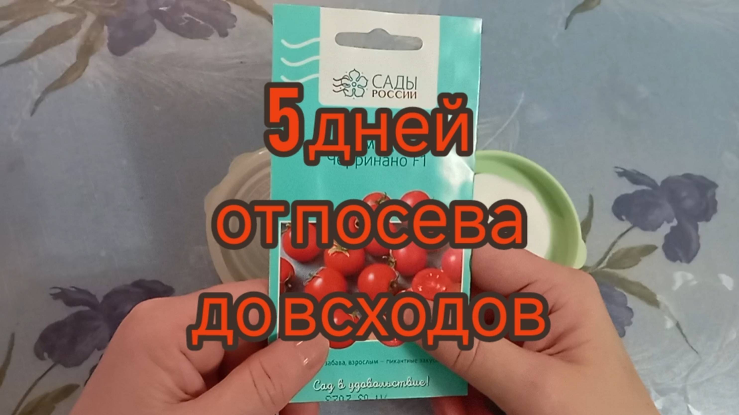 ПЯТЬ ДНЕЙ ОТ ПОСЕВА ДО ВСХОДОВ🍅Ваши комментарии😊