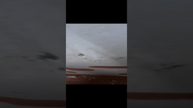 трактор которые в 1 видео