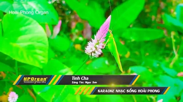 Y2meta.app-Karaoke Tình Cha
