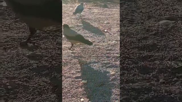 Будь в моменте здесь и сейчас