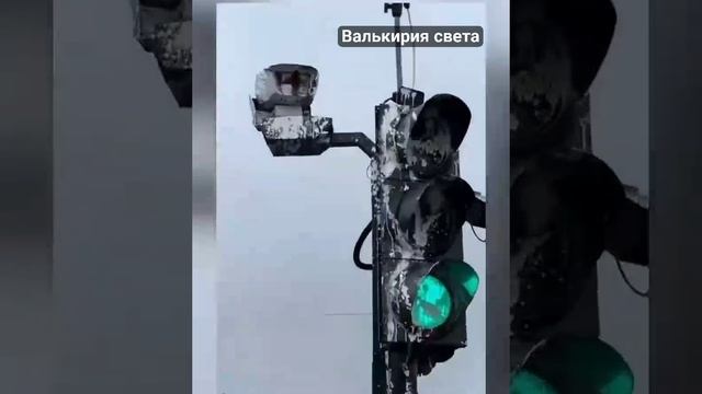 VID_20241110_003427_275.mp4