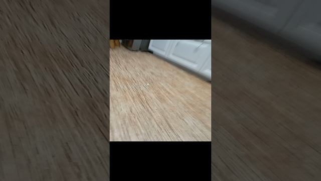 скачи, скачи мой коник!