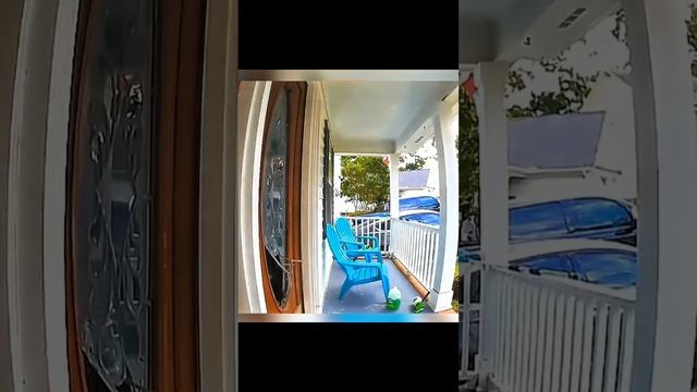 смешные видео