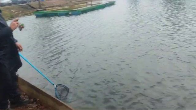 WhatsApp Video 2024-11-18 at 09.43.34