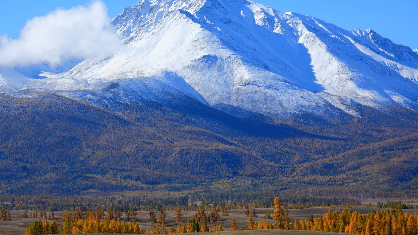 как снимать в нум