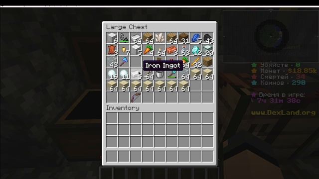 №17 Выживание