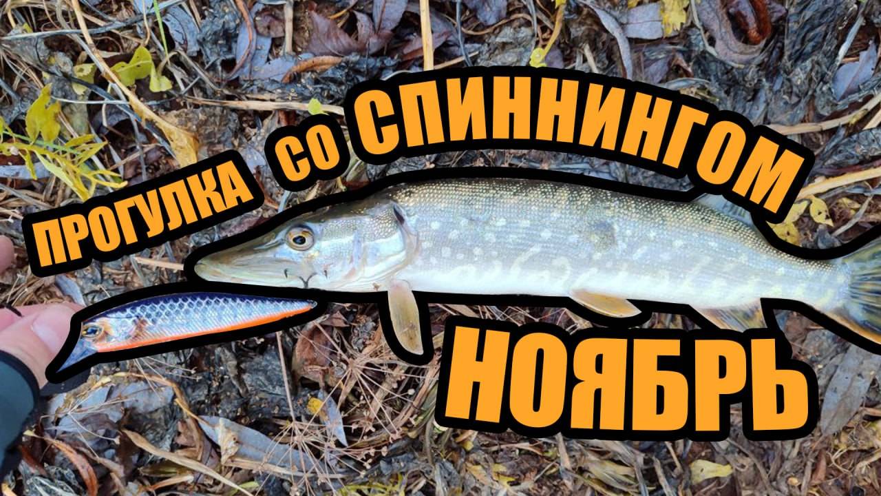 СПИННИНГ во второй половине НОЯБРЯ! Прогулка по водоему. Разведка новых щучьих мест.