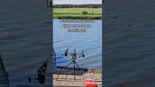 Прикол про рыбалку
