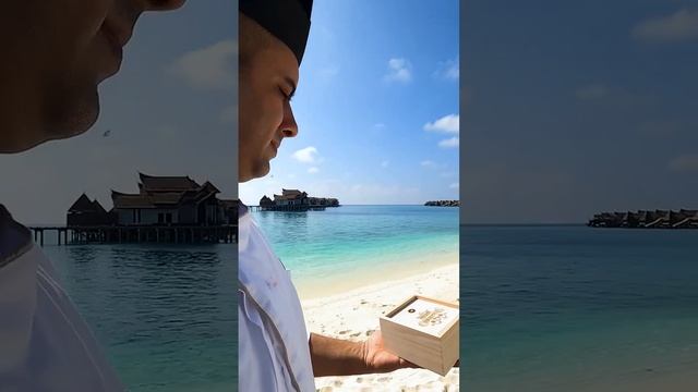 THE OZEN COLLECTION готовится к празднованию Нового Года! А Вы уже нарядили ёлку? #топ #shorts