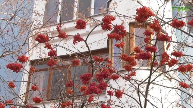 Автобусами дачных маршрутов в этом году воспользовались более 710 тыс. самарцев