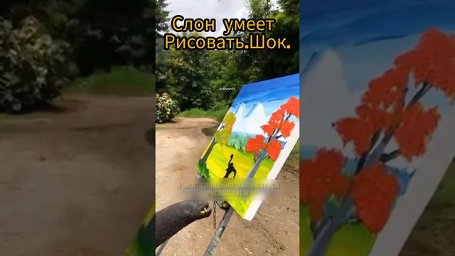 Это шок как же слон так умеет красиво рисовать?