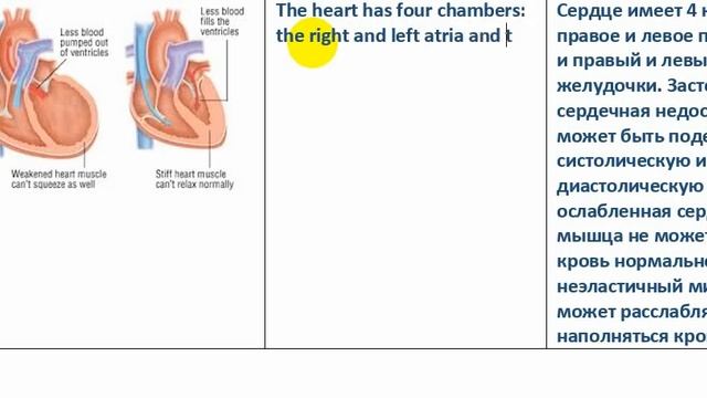 Медицинский английский. Сердечная недостаточность (Heart failure) Часть 1