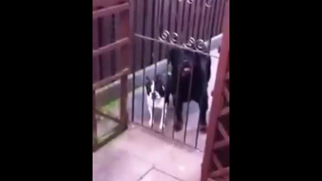 VID-20150202-WA0025
