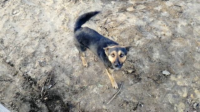 30+ на песок
