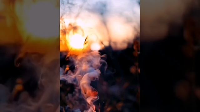 фантазия